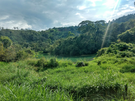 Urarinas
