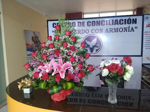 Centro de Conciliación “Un Acuerdo con Armonía” - Chota