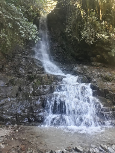 Chalaco
