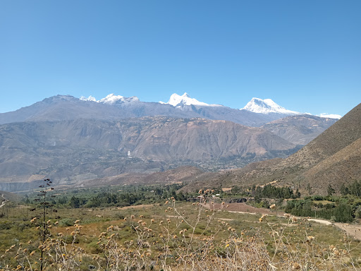 Huata